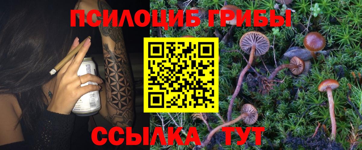 Галлюциногенные грибы мицелий  Галлюциногенные грибы Psilocybine cubensis  Кингисепп  Вход с VPN 