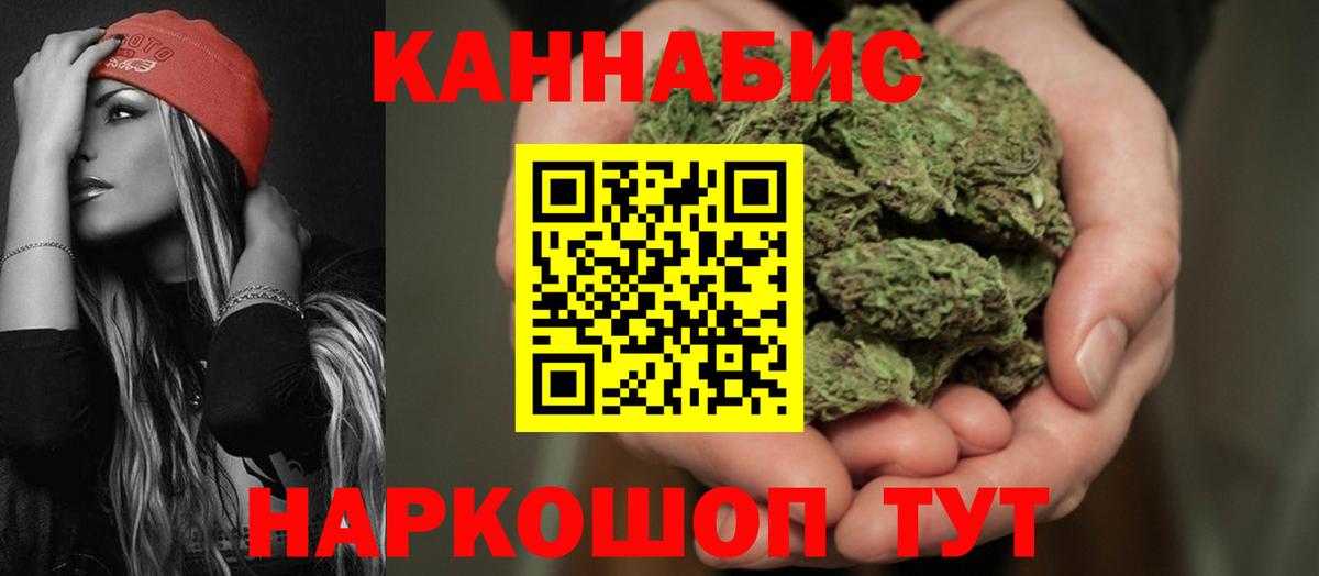 Канабис план Кингисепп